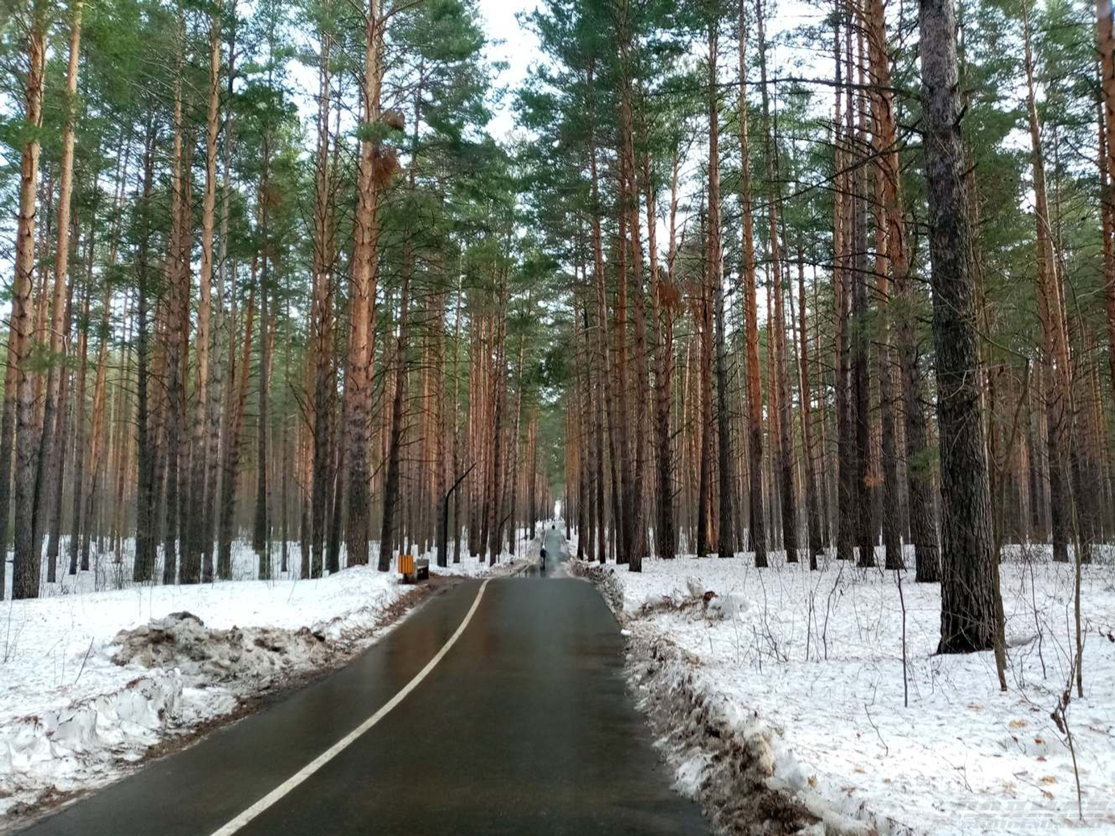 Редакцийын архивше  гыч налме фото.