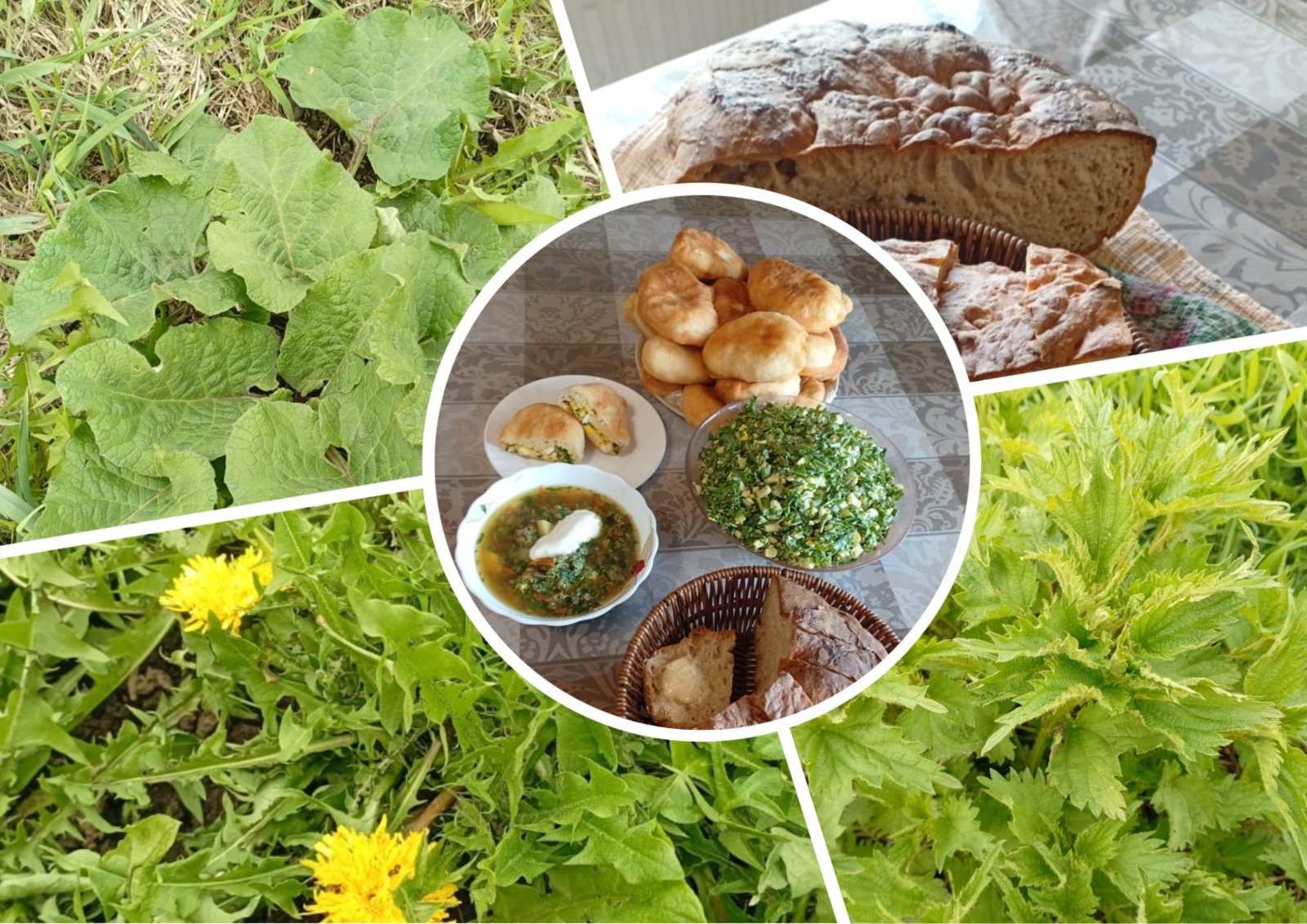 Нине шудо-влак дене эмлалташ шонымо годым врач деч каҥашым йодса.