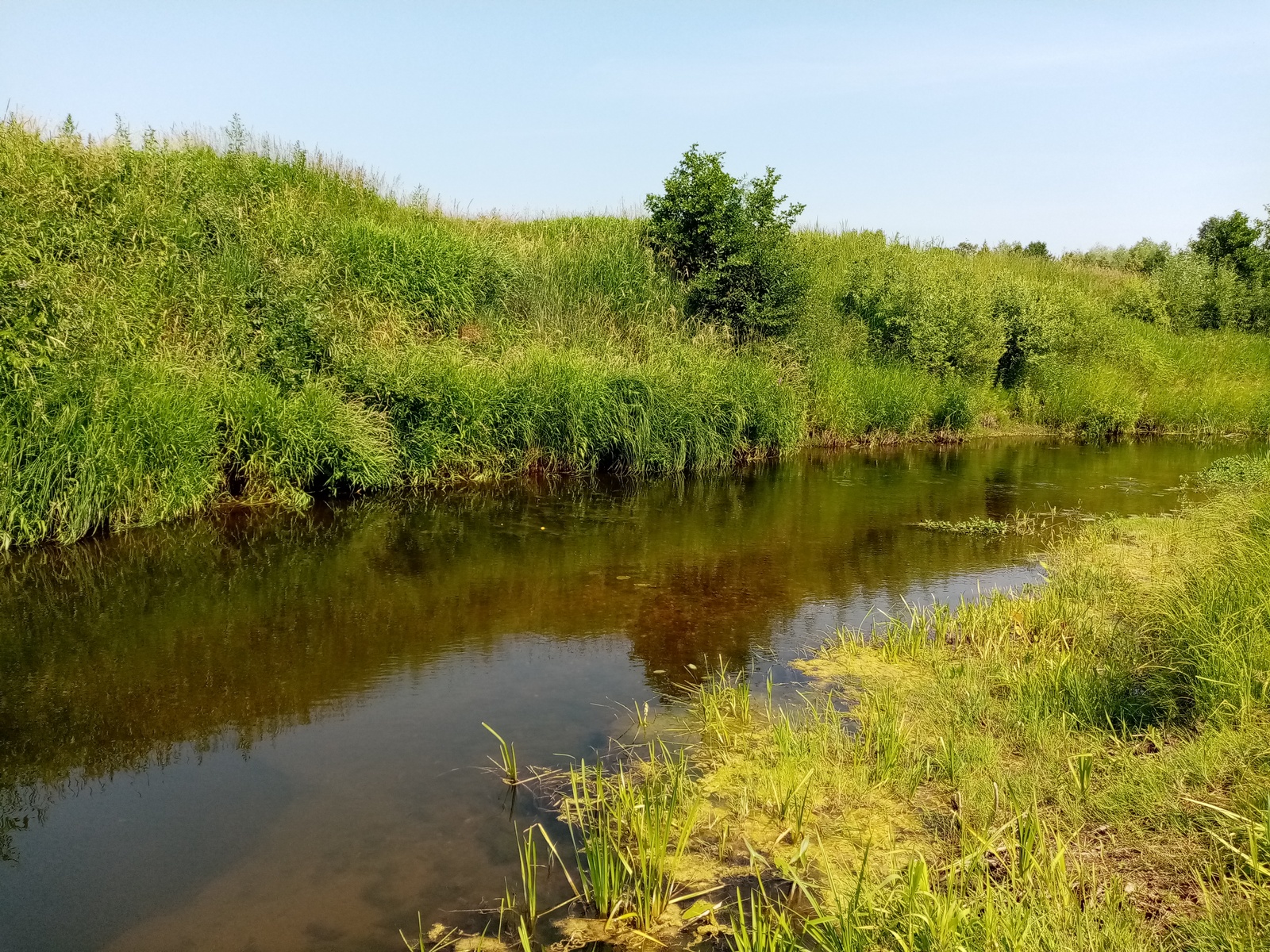 Редакцийын архивше гыч налме фото.