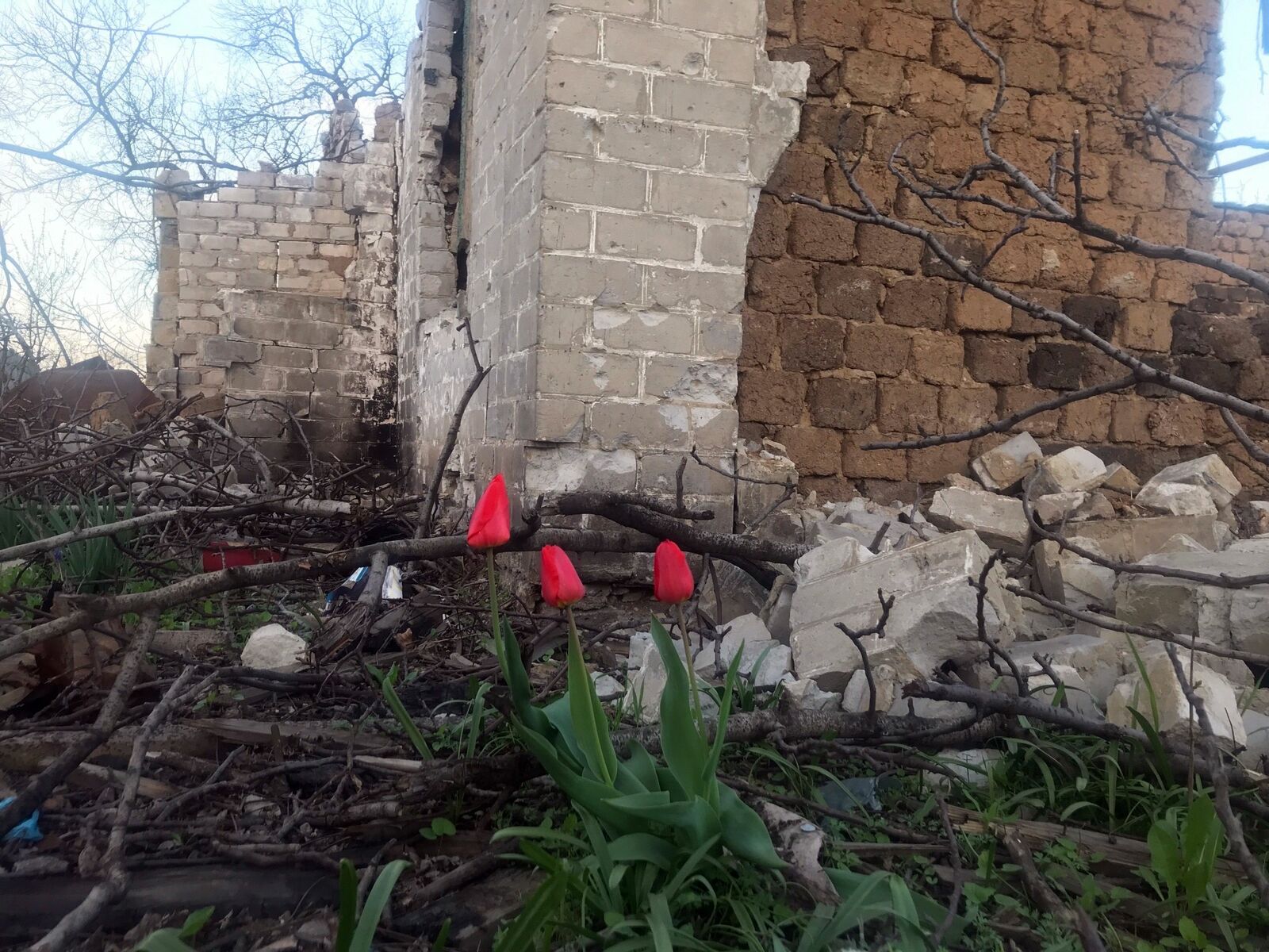 Авторын фотожо.