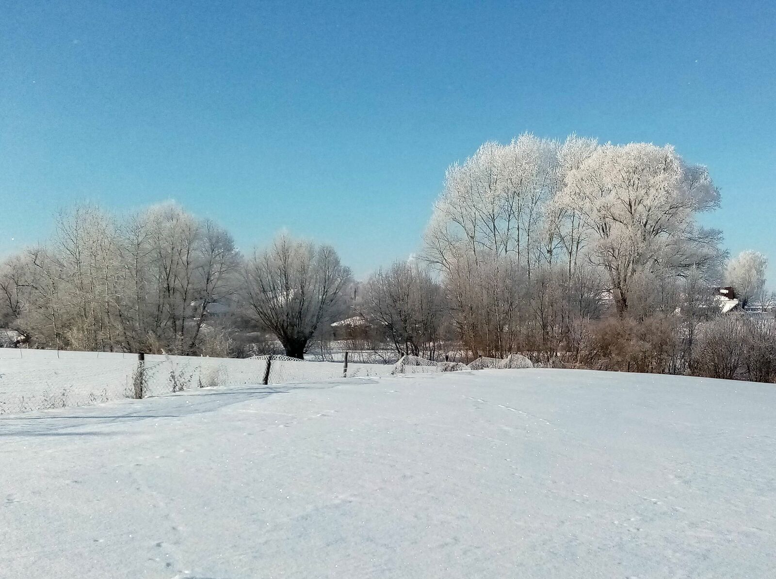 Редакцийын архивше гыч налме фото.
