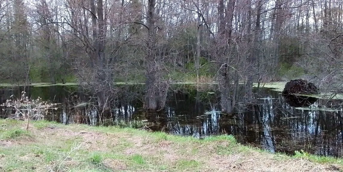 Тиде Маняк эҥер тураште ялыште кӧ улмым шижтараш ош але шӱмлыдымӧ тоям керлын коденыт. Маняк эҥер Таныпыш йоген пура. 70-80-ше ийлаште тыште писте мочылам ыштымылан кӧра ты верым эше Шолэҥер маныт.