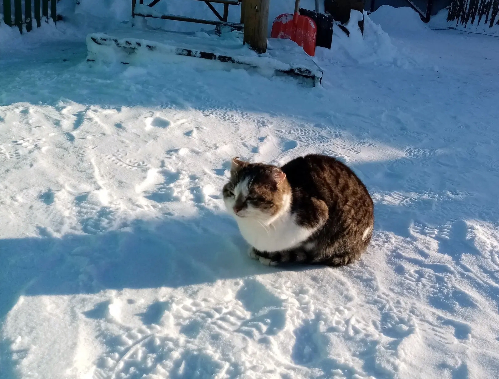 Авторын фотожо.