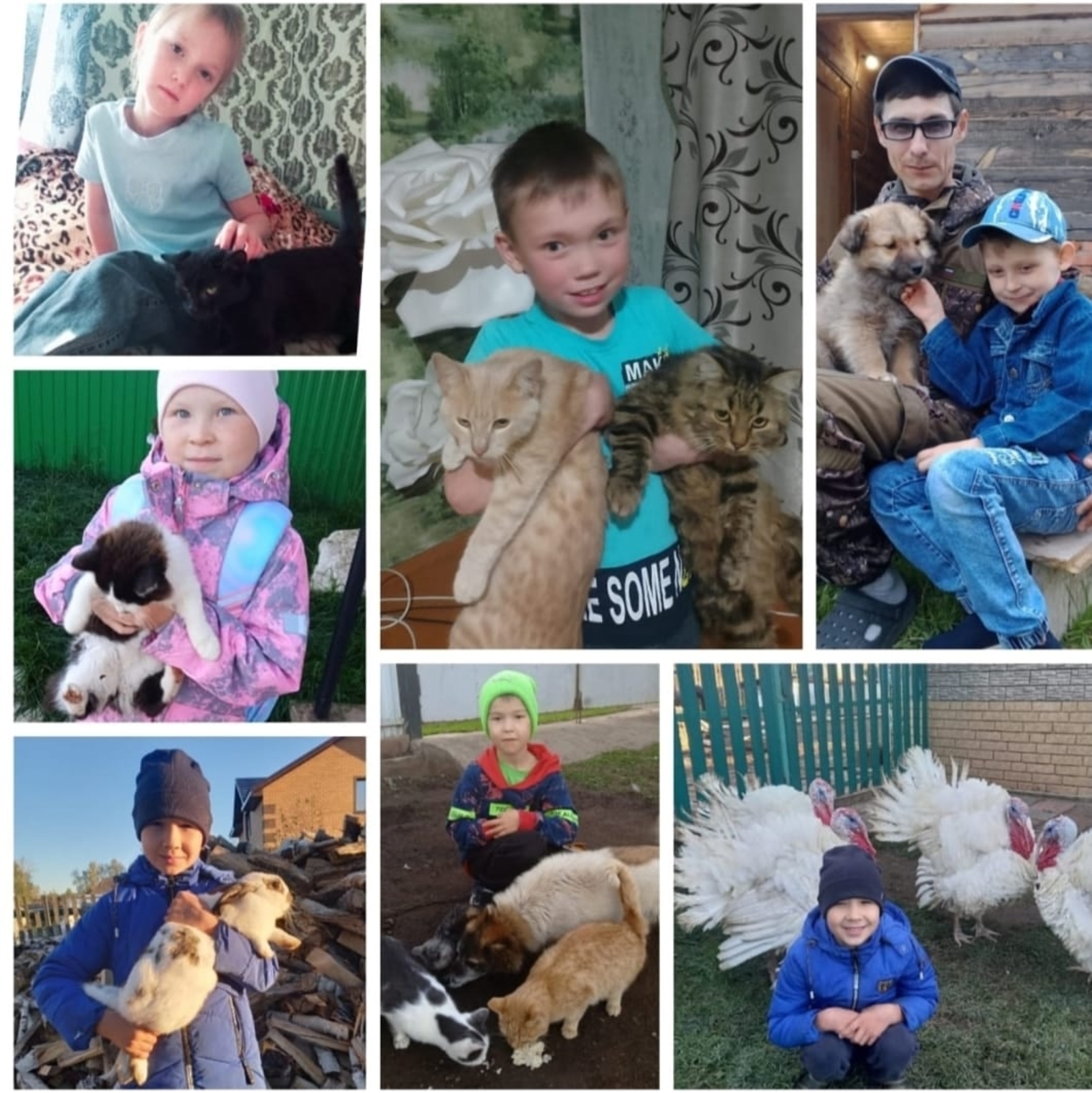 Авторын колтымо фото-влак.