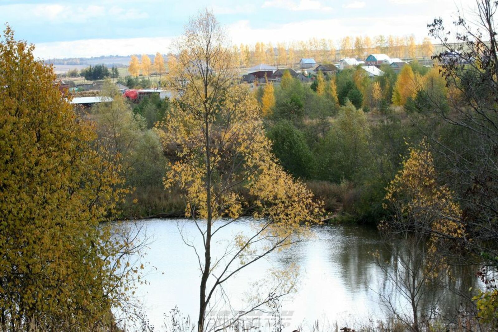 Авторын фотожо.