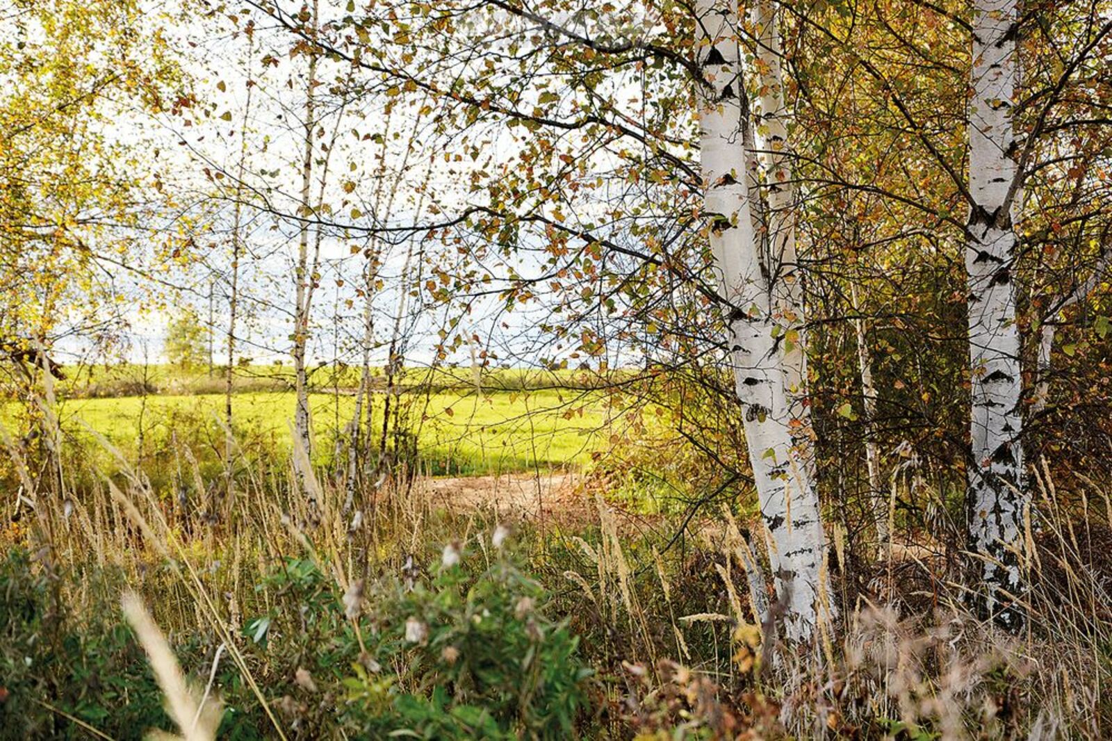 Авторын фотожо.