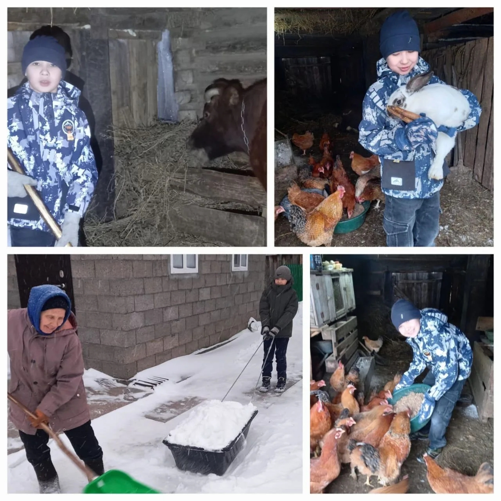 Авторын фотожо-влак.