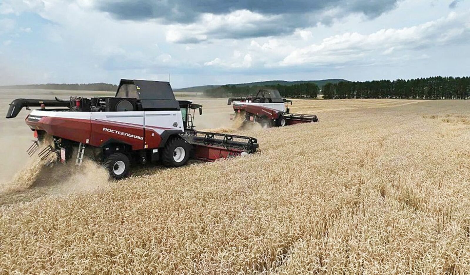 БР Ял озанлык министерствын сайтше гыч налме фото.