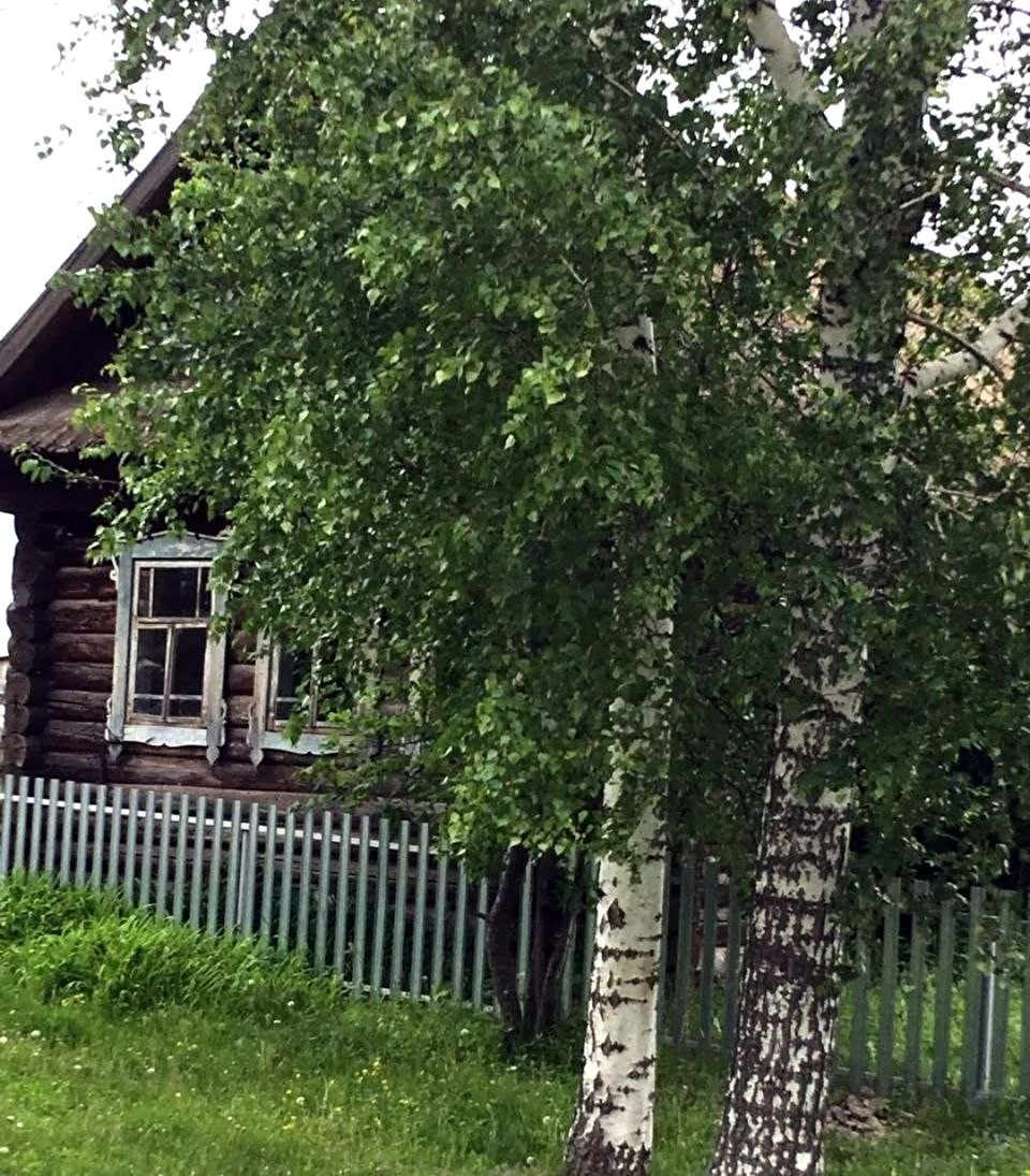 Шочмо сурт.