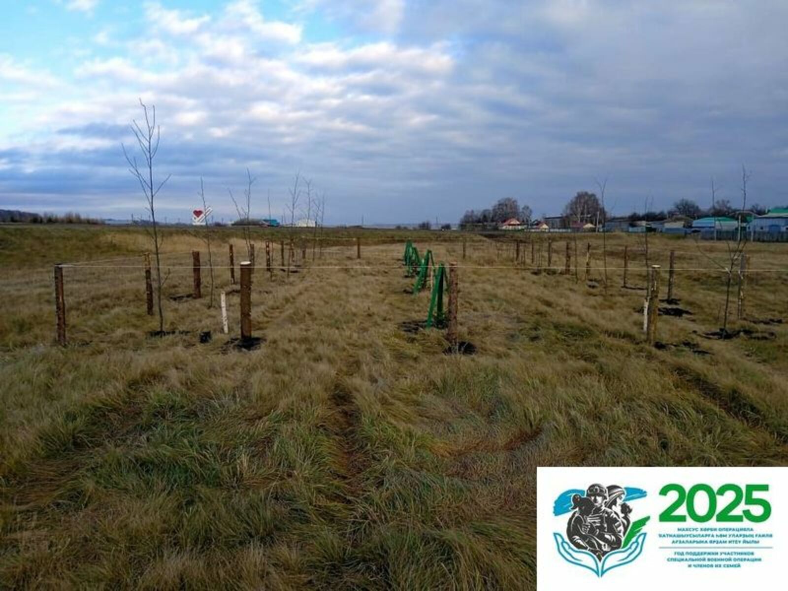 Шарнымаш аллей ялнан шочшыжо - патыр эргыже-влакым - ушештараш тӱҥалеш. Авторын фотожо.