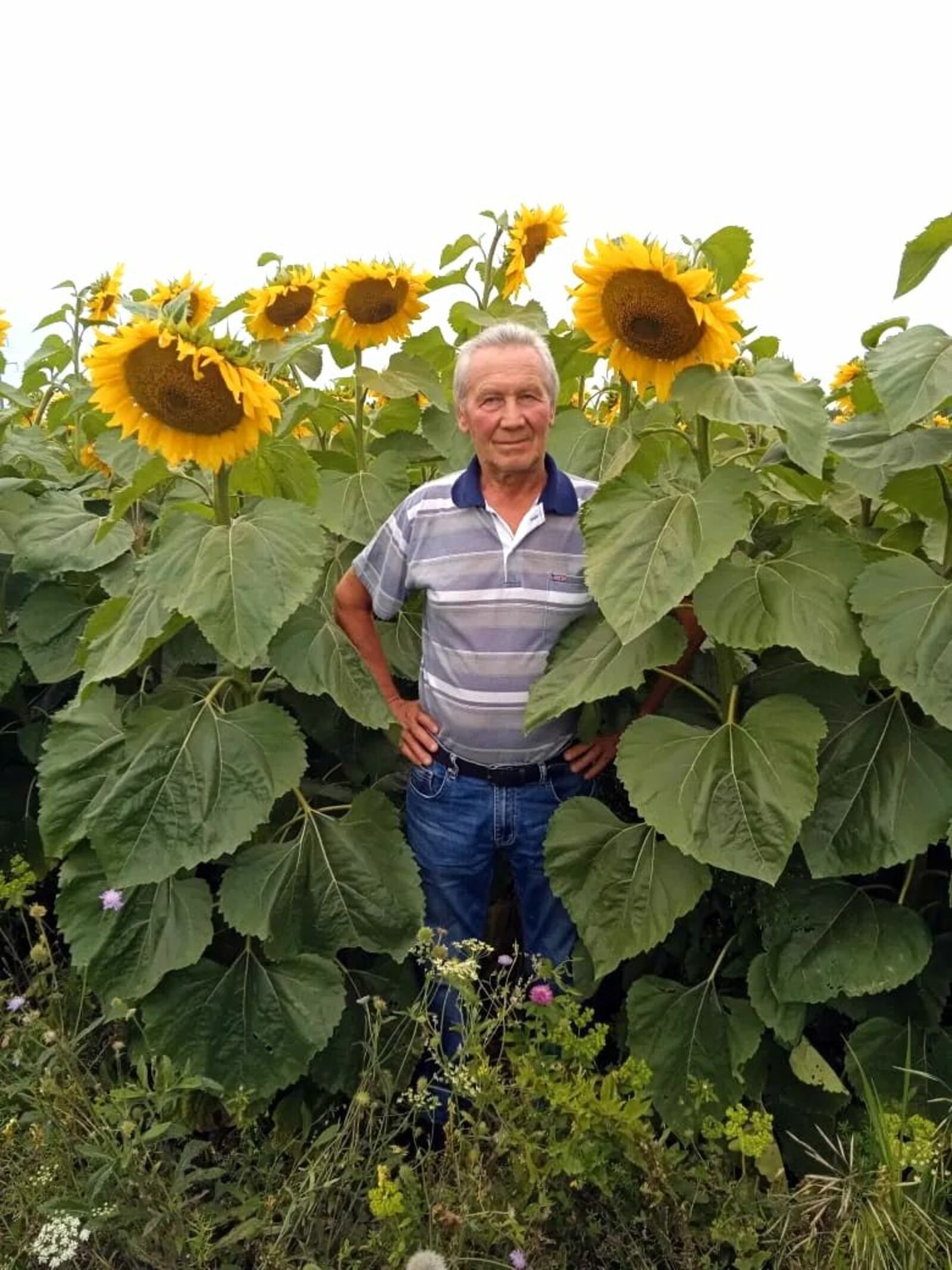 В. Саликов пӱртӱс лоҥгаште. Еш архив гыч налме фото.