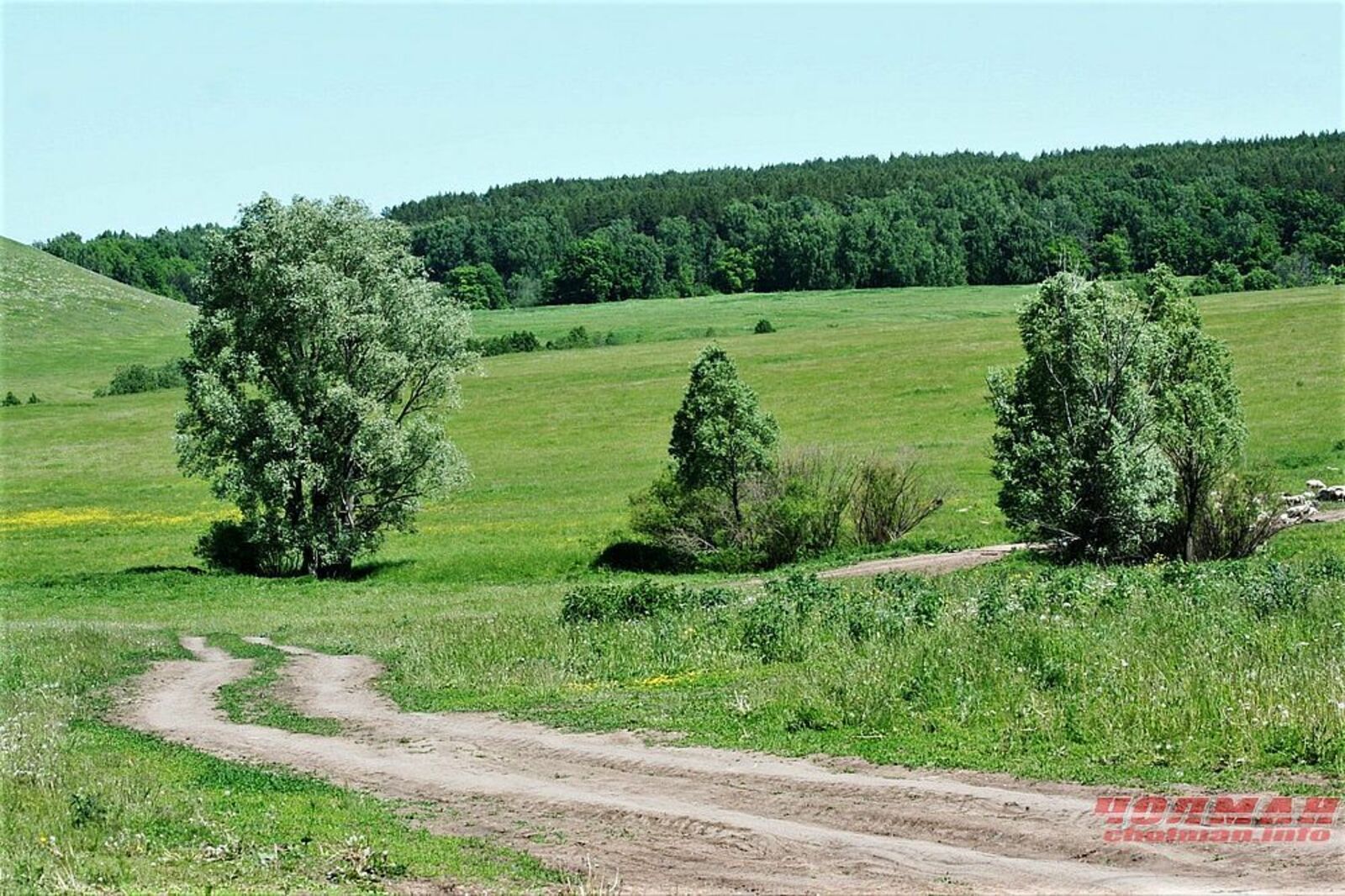 Редакцийын архивше гыч налме фото.