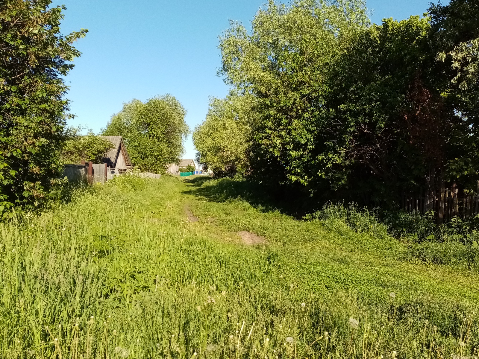 Редакцийын архивше гыч налме фото.