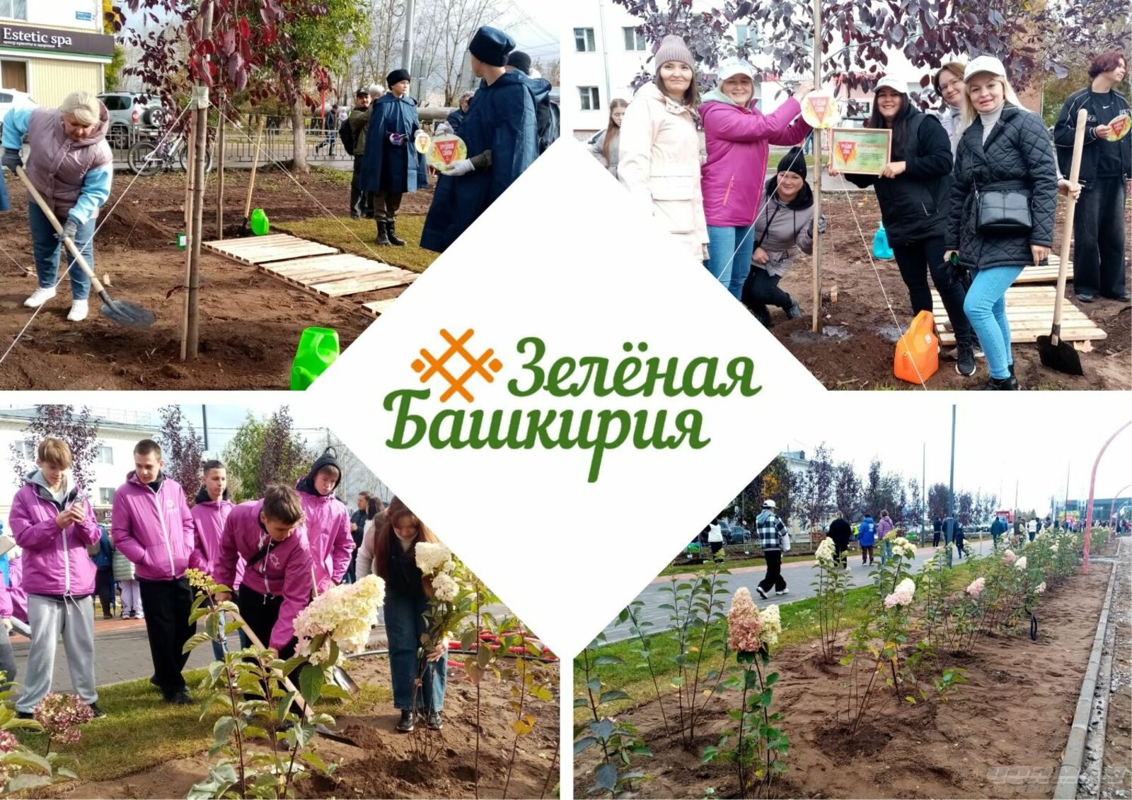 Авторын фотожо-влак.