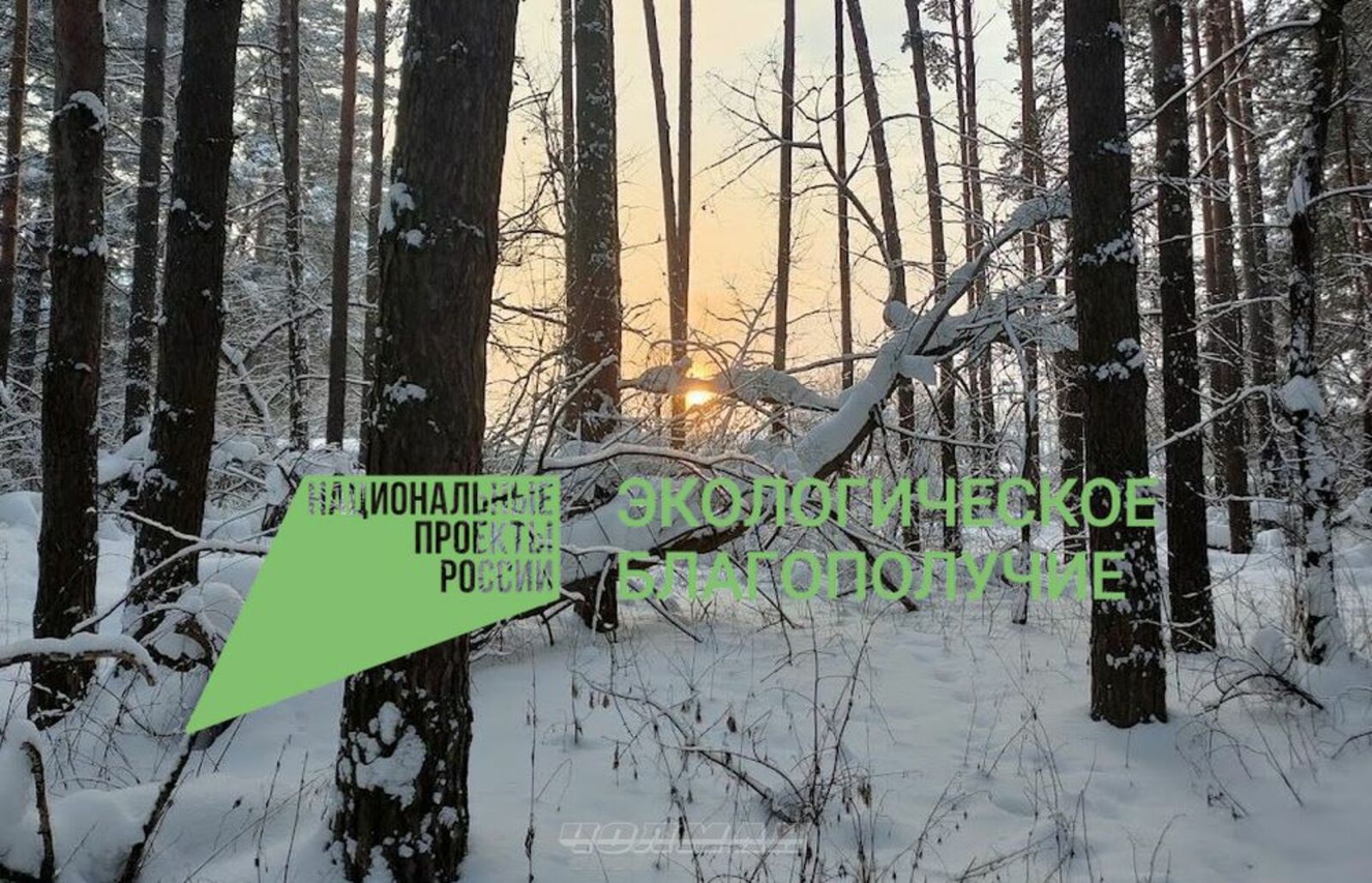 Артур Арсланов, "Чолман".