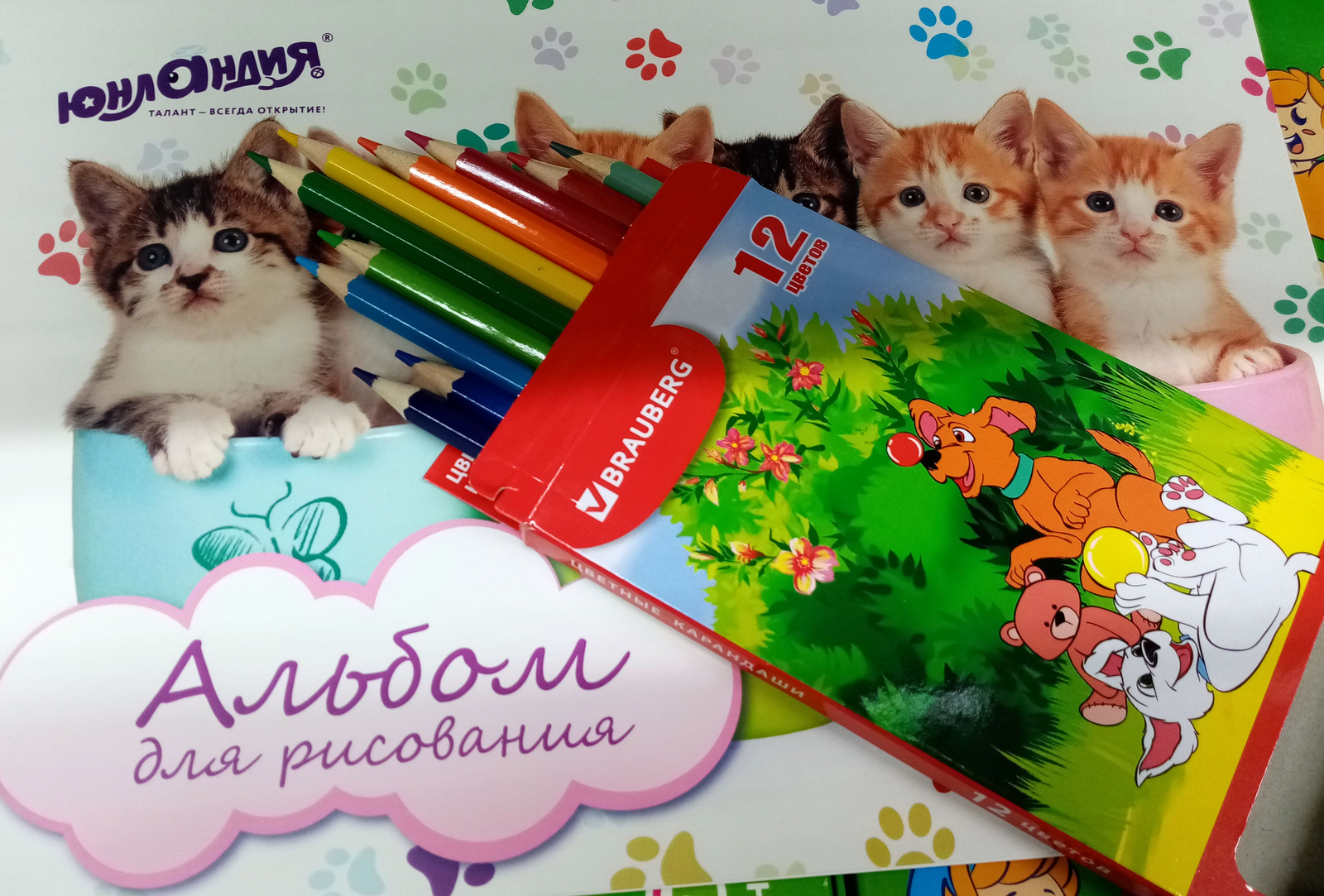 Редакцийын архивше гыч налме фото.