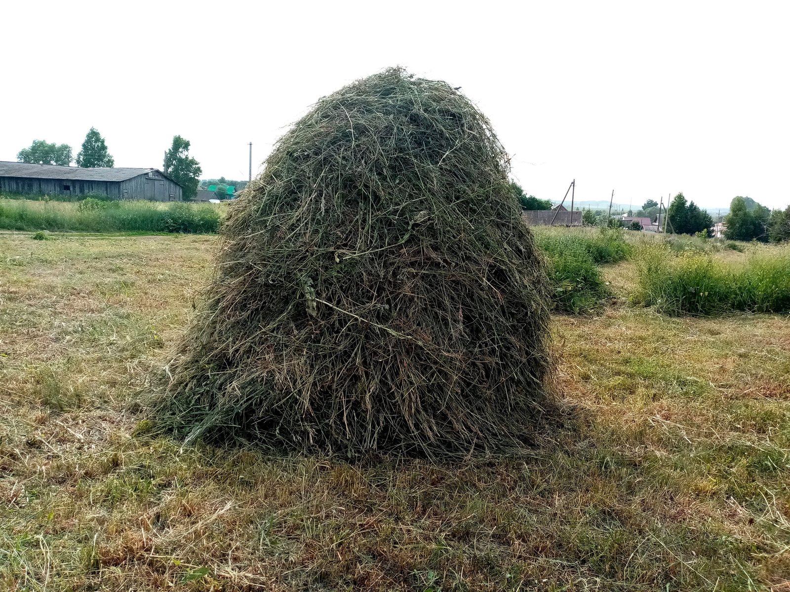 Редакцийын архивше гыч налме фото.