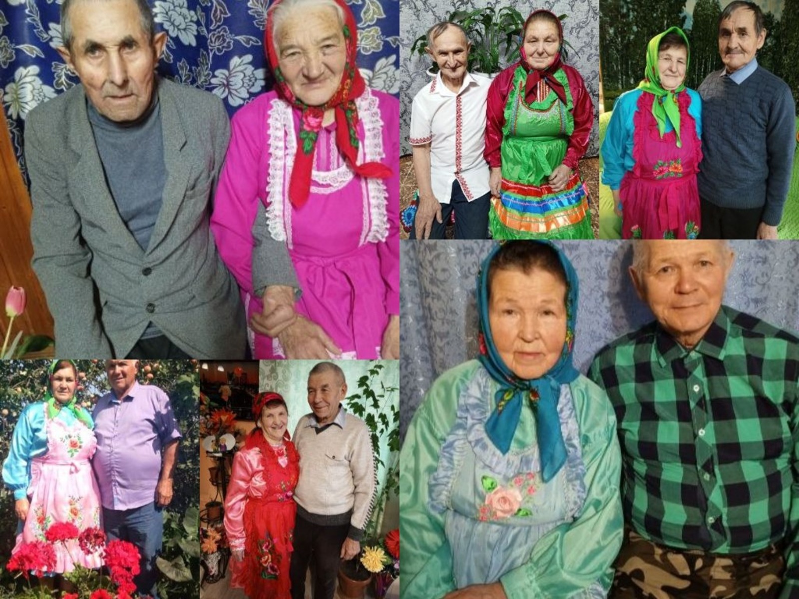 Авторын фотожо-влак.