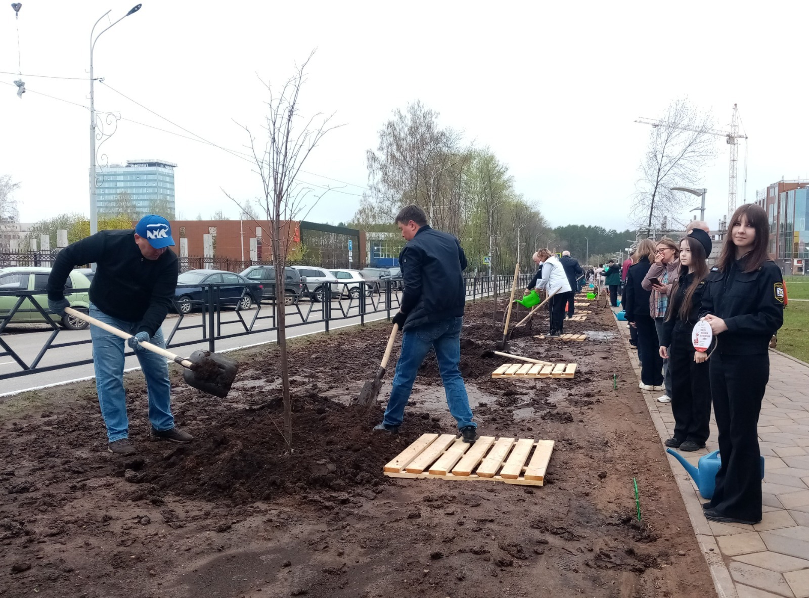Авторын фотожо-влак.