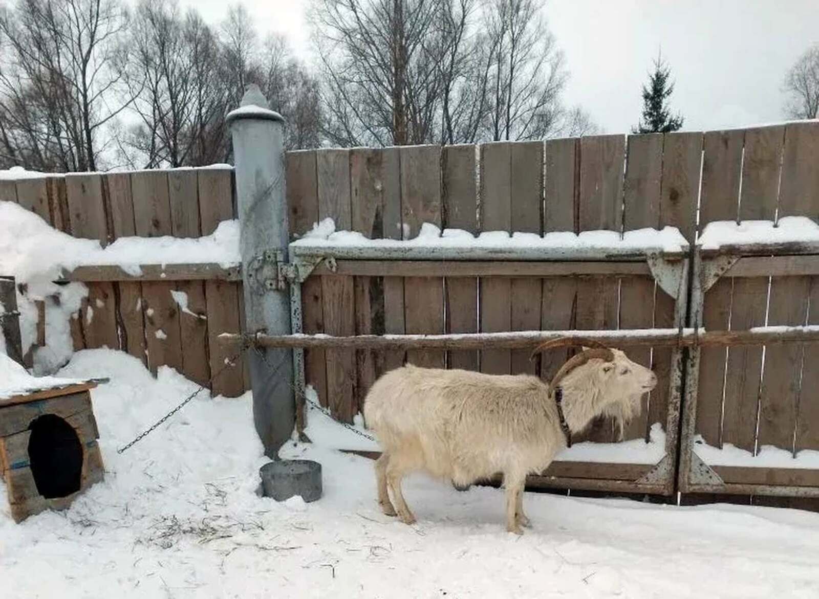 Авторын фотожо.