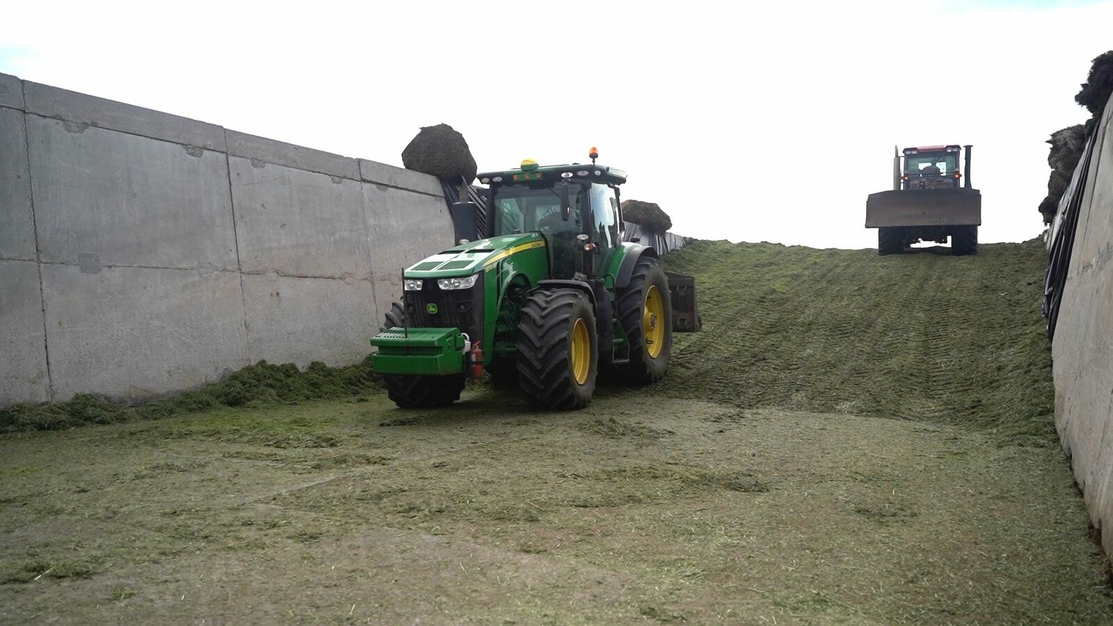 БР Ял озанлык министерствын сайтше гыч налме фото.