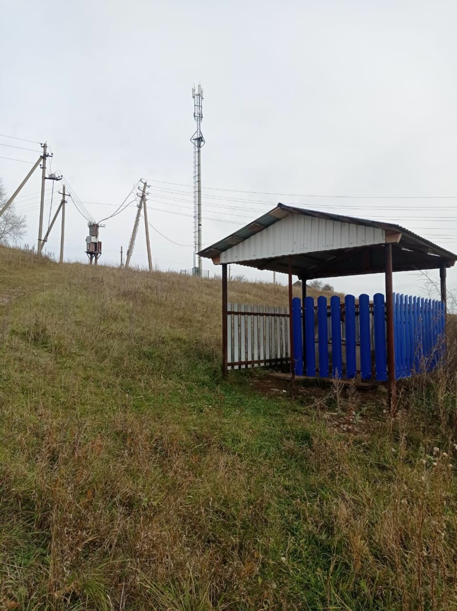 Сото кылын вышкыже. Авторын колтымо фото-влак.