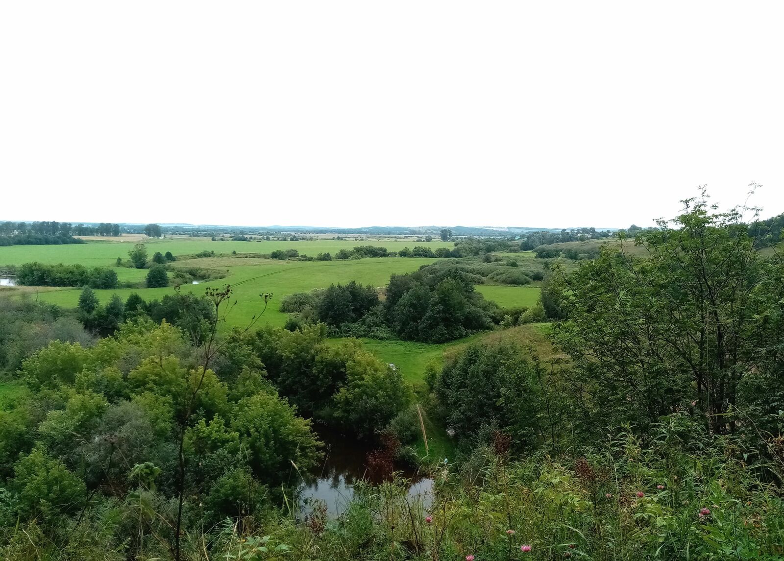 Редакцийын архивше гыч налме фото.