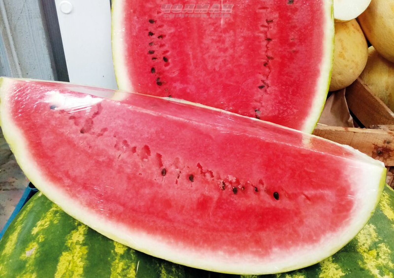 Авторын фотожо.